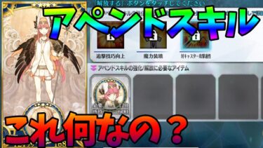 【FGO】アペンドスキルってなんなの？詳しく解説。サーヴァントコインの為に今後は宝具6以上までガチャが必要かも