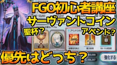 【FGO】聖杯転臨とアペンドスキルどっちを優先すれば良い？【#FGO初心者講座】