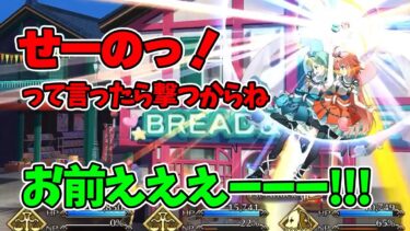 【FGO】面白すぎるひびちか劇場バトルボイス+おまけ(宝具＆スキル&EXアタック)