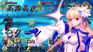 FGO【高難易度】アーネンエルベへようこそ！(ドラゴン島出張店) Lv.120 アルクェイド 3ターンで撃破