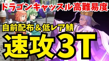 【FGO】高難易度「アーネンエルベへようこそ！(ドラゴン島出張店)」自前配布＆低レア鯖のみ3ターン攻略【踊るドラゴン･キャッスル】