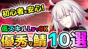 【FGO】初心者も安心！6-6-6など低スキルLvでも優秀なサーヴァント10選【ゆっくり】