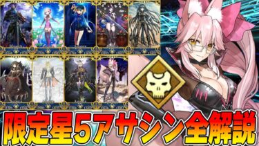 【FGO】福袋に向けて限定星5アサシン全解説！【当たりがわかりやすい！】