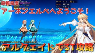 【FGO】高難易度「アーネンエルベへようこそ！」アルクェイドで3T攻略【Fate/Grand order】