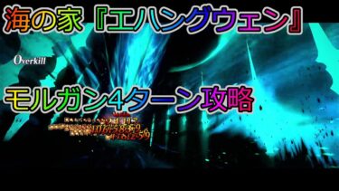 【FGO】高難易度「海の家『エハングウェン』」モルガン4ターン攻略