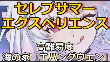 【FGO】ゲームプレイ動画●Fate　Grand　Order　104　「イベント　セレブサマーエクスペリエンス　高難易度　海の家『エハングウェン』」