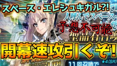 【FGO】スペーシュエレシュキガルピックアップガチャ！水着のエレシュキガル実装マジ！？2体目のビーストの性能はどうだ？【FGO9周年】