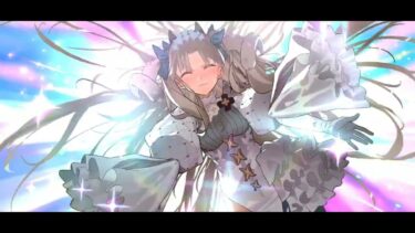 【FGO】スペエレちゃんの宝具を沢山撃ちまくった動画【VS高難易度 海の家『エンハグウェン』】