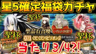 【FGO】【星5確定福袋ガチャ】聖杯鯖が4分の3で当たるガチャがあるらしい・・・神引きしてやりますか！！！【FGO9周年】