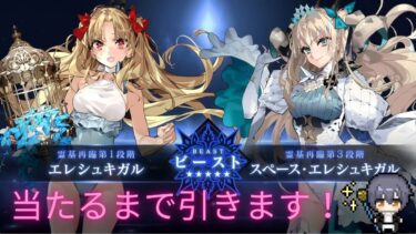 【FGO】水着エレシュキガル出るまで引く配信