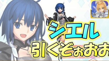 【FGO】心を込めて『シエル』引かせていただきます＆シエル・ニキチッチ・徐福、テノチティトラン性能確認【雑談配信】