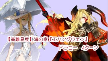 FGO【高難易度】海の家『エハングウェン』(ドラコーTA)