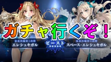 【FGO】周年ガチャ！水着エレシュキガル引くぞおおお！！！！！