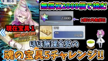 【FGO】福袋デスティニー課金のみの微課金勢の性能厨による闇コヤン宝具5チャレンジ‼【四国メタン】【ずんだもんボイス】#解説 #fgo #ガチャ