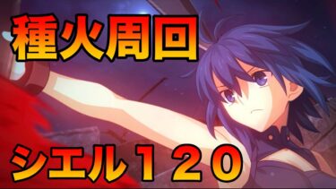 【FGO】シエル１２０を目指して種火周回（雑談）