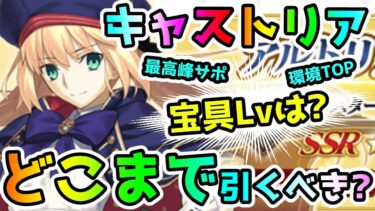 【FGO】遂にキャストリア復刻！ガチャは引くべき！宝具Lvはどこまで！？おすすめ解説【ゆっくり】