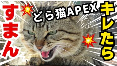 どら猫APEX　吠えるどら猫系vtuberです