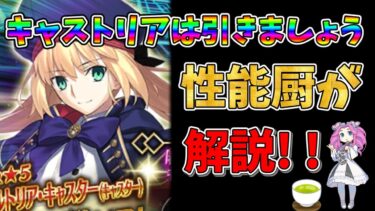 【FGO】超人権限定サーヴァント、キャストリアが復刻!!　引くべきかについて性能厨がランクをつけて徹底解説!!【四国メタン】【ずんだもんボイス】#解説 #fgo #ガチャ