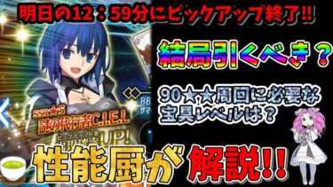 【FGO】ついにシエルのピックアップが終了目前!?　シエルの最終評価とシエルの90★★運用について性能厨が解説‼【四国メタン】【ずんだもんボイス】#解説 #fgo #ガチャ