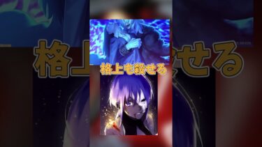 FGO 大幅に弱体化とあるスキルが弱すぎる　空の境界　両儀式　月姫　遠野志貴　直死の魔眼