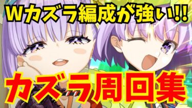 【FGO】カズラドロップの周回運用例を5パターン紹介！Wカズラ編成が面白すぎる【Fate/Grand Order】