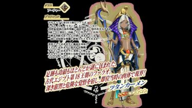 【FGO】こいつの使い方模索周回