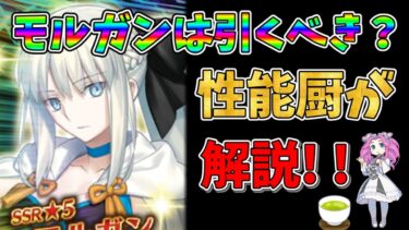 【FGO】激つよ限定サーヴァント、モルガンが復刻!!　引くべきかについて性能厨がランクをつけて徹底解説!!【四国メタン】【ずんだもんボイス】#解説 #fgo #ガチャ