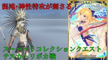 【FGO】LB7スーパーリコレクションクエスト テスカトリポカ戦 バサトリアで5T