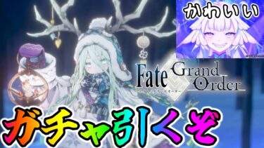 【FGO】気づいたらロウヒをガチャってた男。＆箱イベ色々確認！