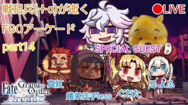 戦犯兵が逝くFGOアーケード14【FGOAC生配信】