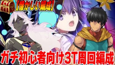 【FGO】ガチ初心者でも3T周回したい？この編成があるじゃないか！【歴史】