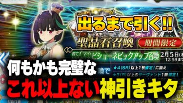 【FGO】ビショーネ出るまでガチャ引いたら取れ高的にも大正解な神引きしました