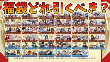 【FGO】2025福袋はどれを引くべきか考察する