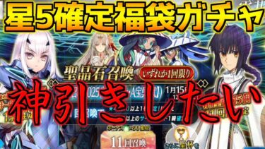 【FGO】【星5確定福袋ガチャ】数が多すぎて悩みまくってやらかす福袋ガチャ 【正月2025】