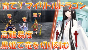 【FGO】 育て！マイリトルドラゴン 高難易度「遅れて参戦！？偉大なる竜達の逆襲！！」 黒姫の竜特攻で切り刻む！！