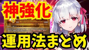 【FGO】カーマ宝具強化でアサシン最強格に！オデコフリクエ周回・高難易度攻略で運用法を改めて解説【Fate/Grand Order】