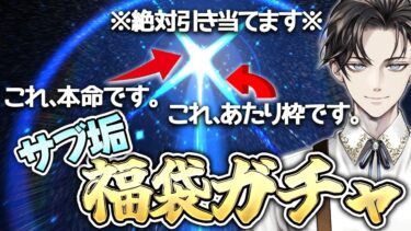 【FGO ガチャ】福袋で本命との運命力を試す。2枚抜きする。愉悦民かかってこい！サブ垢編【男性vtuber/配信】