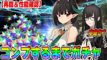 【FGO】ビショーネと黒姫両方引けるまでガチャ引く！！【爆速性能チェック】