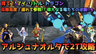 【FGO】育て！ マイ･リトル･ドラゴンの高難易度「遅れて参戦！？ 偉大なる竜たちの逆襲！！」をアルジュナオルタで2T攻略【Fate/Grand Order】