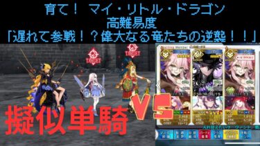 【FGO】巌窟王モンテ・クリストで単騎！高難易度「遅れて参戦！？偉大なる竜たちの逆襲！！」【育て！ マイ・リトル・ドラゴン】