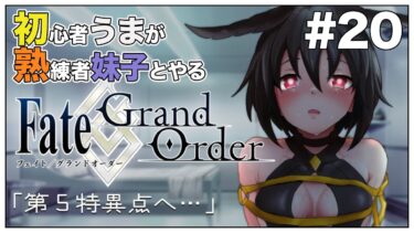 #20【Fate/Grand Order (FGO)】第1部5章「イ・プルーリバス・ウナム」