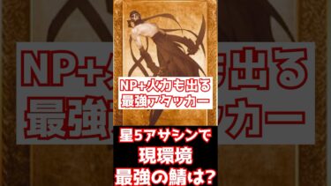 【FGO】現環境で1番最強だと思うアサシンは誰？性能解説（2025年2月） #shorts