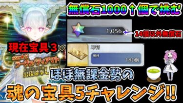 【FGO】福袋デスティニー課金のみの微課金勢の性能厨によるティアマト宝具5チャレンジ‼【四国メタン】【ずんだもんボイス】#解説 #fgo #ガチャ