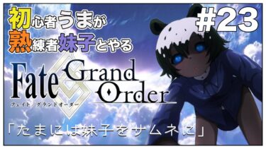 #23【Fate/Grand Order (FGO)】第1部5章「イ・プルーリバス・ウナム」③