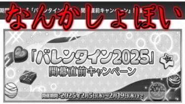 【FGO】バレンタイン開幕直前CP来たけど、、、なんか、、、しょぼくない？？？【バレンタイン2025】