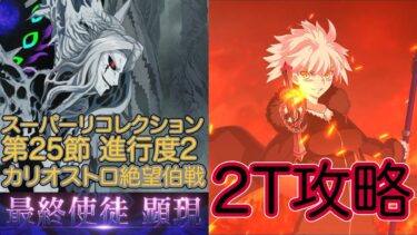 【FGO】完全体ジャンヌ・オルタで高難易度を２ターン攻略したヤツ【不可逆廃棄孔イド スーパーリコレクションクエスト】【第25章 進行度2 最終使徒カリオストロ絶望伯戦】