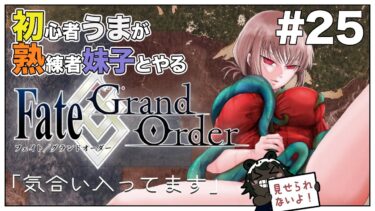 #25【Fate/Grand Order (FGO)】第1部5章「イ・プルーリバス・ウナム」⑤