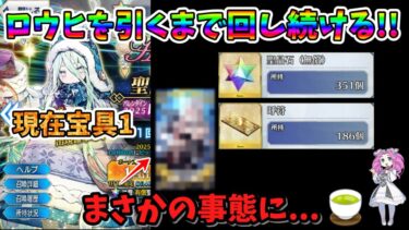 【FGO】福袋デスティニー課金のみの微課金勢の性能厨がロウヒを1体引くまで最大で300連までガチャを回し続ける‼【四国メタン】【ずんだもんボイス】#解説 #fgo #ガチャ