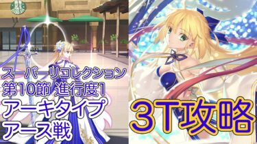 【FGO】水着アルキャスで高難易度を3ターン攻略したヤツ【新霊長後継戦 アーキタイプ･インセプション】【第10節 進行度1 アーキタイプ・アース戦】