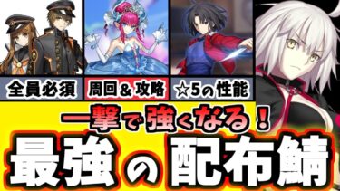 【FGO】一瞬で戦力爆増!!巡霊の葉で絶対に交換して欲しい超優秀配布サーヴァント11選を徹底解説！【ゆっくり実況】【Fate/Grand order】